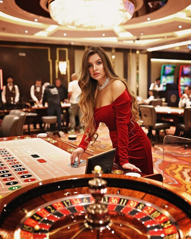 ninja bet